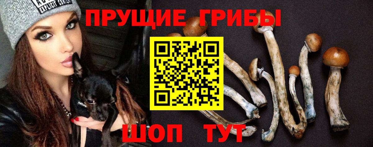 Галлюциногенные грибы Cubensis  Вход с VPN  дарнет шоп  Псилоцибиновые грибы ЛСД  Губкин 